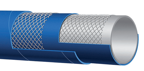 slegine zarna maistui almeida